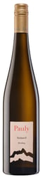 Axel Pauly Steinerd Feinherb Mosel Riesling 2023
