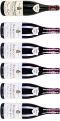 Bourgogne - 1 Premier Cru Nuits-Saint-Georges og 5 Bourgogne Rouge