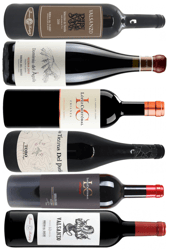 Ribera del Duero + Joker Smagekasse
