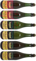 Val de France Organic Sparkling Juice Smagekasse