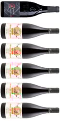 Xavier Smagekasse - 5 Côtes du Rhône og 1 Chateauneuf du Pape